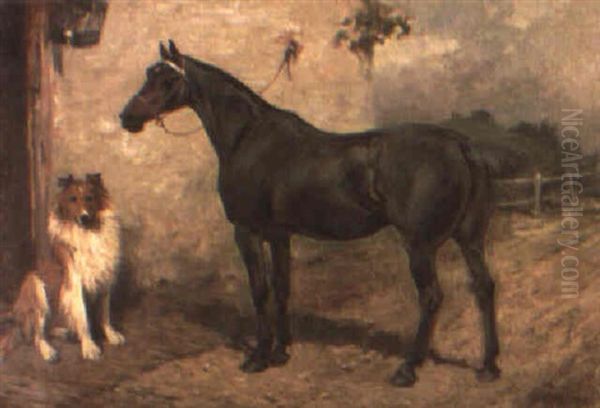 Stable Mates - view 1