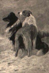 Two Border Collies by John Emms