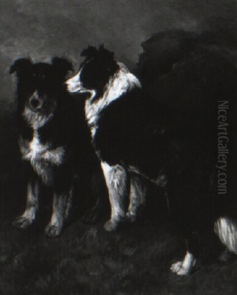 Two Collies In A Highland Landscape - view 1