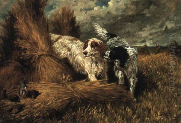 Setters In A Harvest Field - view 1