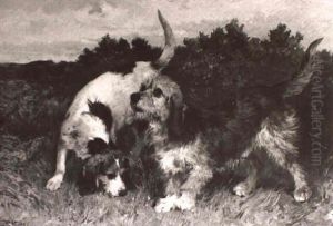 Study Of A Beagle And A Dandy Dinmot by John Emms