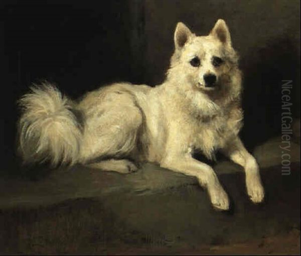 Minnie, The White Spitz - view 1