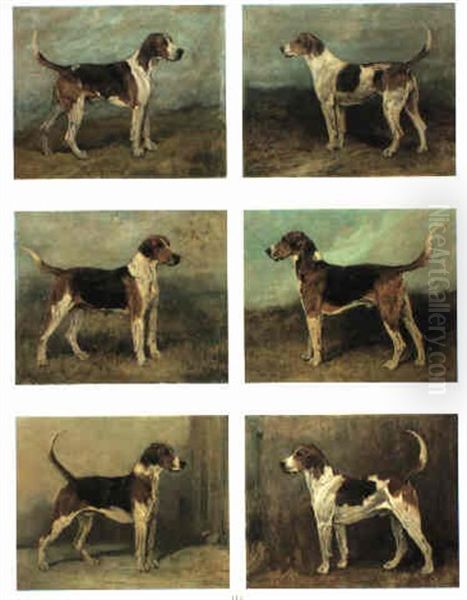 Hounds: Spokesman, Discount, Sanguie, Cristopher , Dexter & Rokeby - view 1