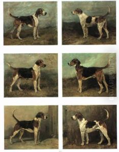 Hounds: Spokesman, Discount, Sanguie, Cristopher , Dexter & Rokeby Hounds: Spokesman, Discount, Sanguie, Cristopher , Dexter & Rokeby