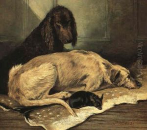 An Irish Water Spaniel, A Scottish Deerhound And An English Toy Terrier... An Irish Water Spaniel, A Scottish Deerhound And An English Toy Terrier...