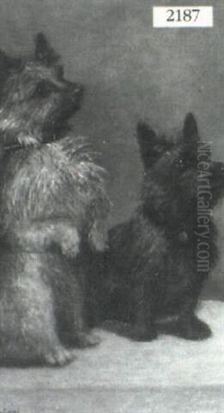 Two Dogs - view 1