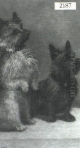 Two Dogs Two Dogs