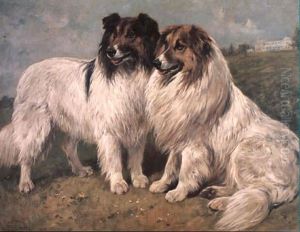 A Couple Of Collie Dogs by John Emms