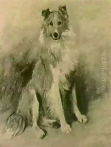 A Portrait Of The Collie 'darkie' by John Emms