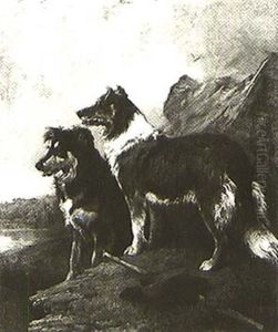 Two Border Collies by John Emms