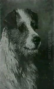 Jim; Head Of A Jack Russell by John Emms