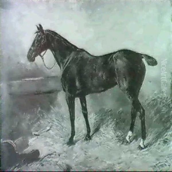 A Horse In A Stable Interior - view 1