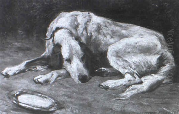 A Sleeping Hound - view 1
