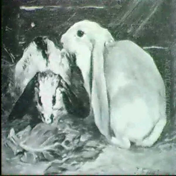 Two Lop Ear Rabbits - view 1