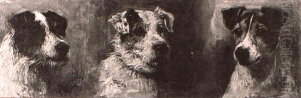 Head Studies Of Three Terriers - view 1
