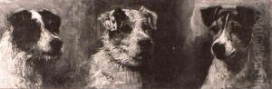 Head Studies Of Three Terriers by John Emms