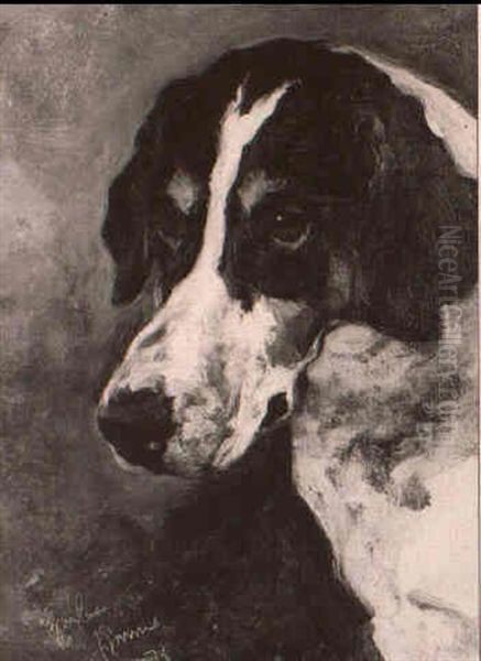 A Head Study Of The Hound Gaylas - view 1