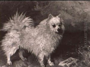 A Pomeranian In A Landscape by John Emms