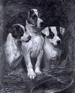 Three Terriers In A Barrel by John Emms