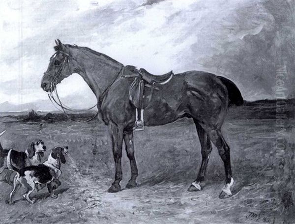 A Bay Pony And Beagels - view 1