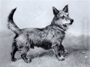 "lairg" A Terrier Of Scottish Ancestry by John Emms