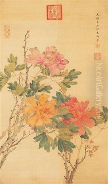 Peony - view 1