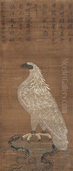 Eagle - view 1
