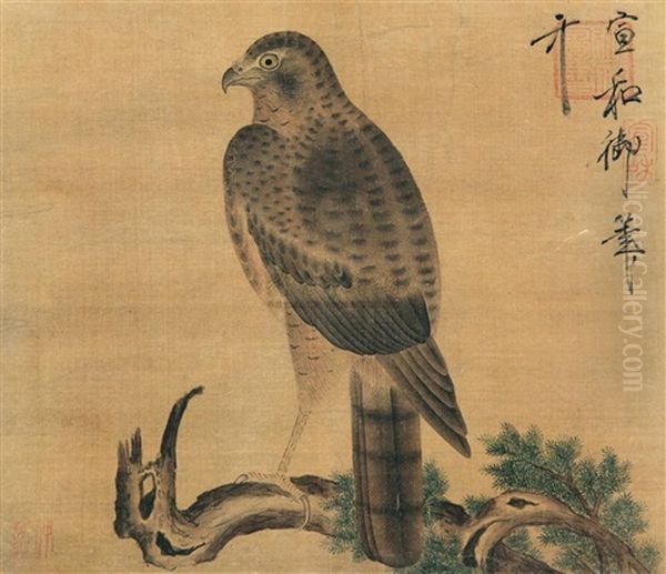 Eagle Perched In Pine - view 1