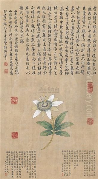 Flowers - view 1