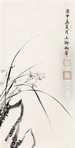 Orchid Orchid