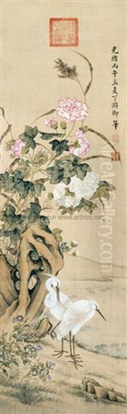 White Cormorants And Hibiscus - view 1