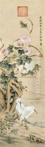 White Cormorants And Hibiscus