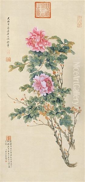 Peony - view 1
