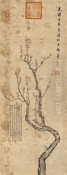 Plum Blossom - view 1