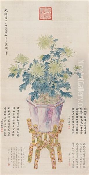 Chrysanthemum - view 1