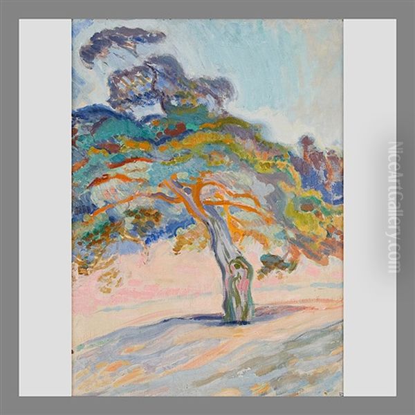 Gnarled Pine - view 1