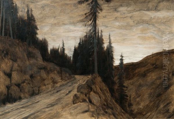 Pines In Dusk - view 1