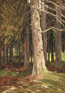 Baumstudie by Hans am Ende