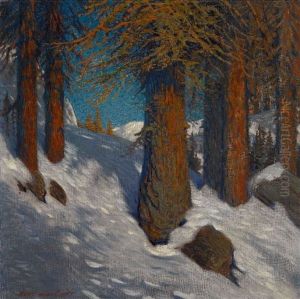 Winterwald Winterwald