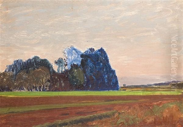 Blaue Stunde In Den Feldern - view 1
