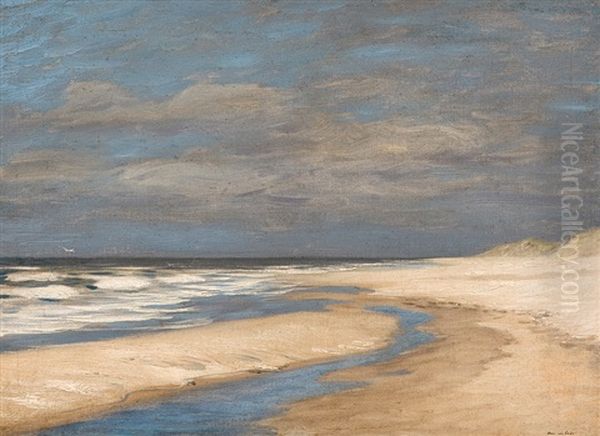 The Wadden Sea - view 1