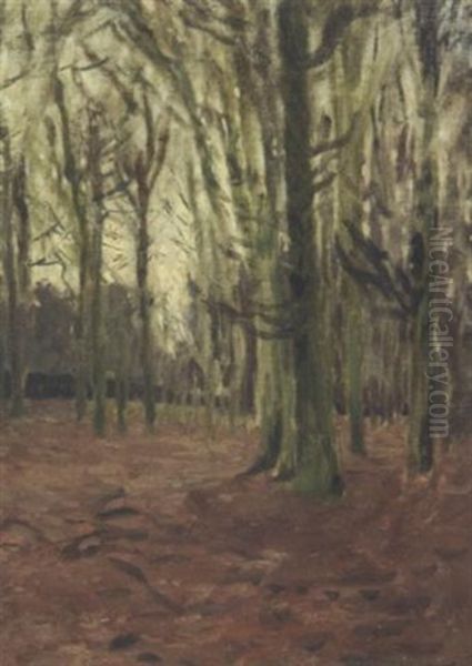 Abendstimmung Im Wald Am Weyerberg - view 1