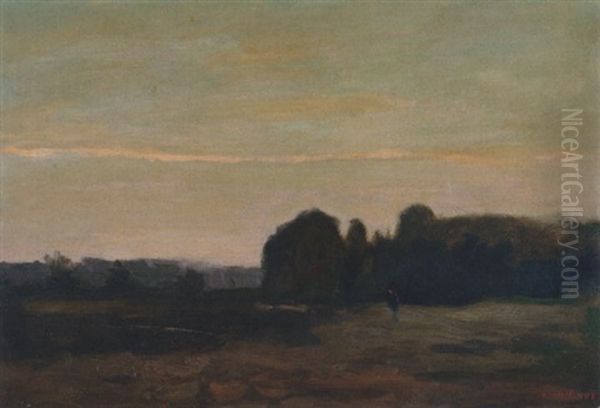 Abendstimmung Im Moor - view 1