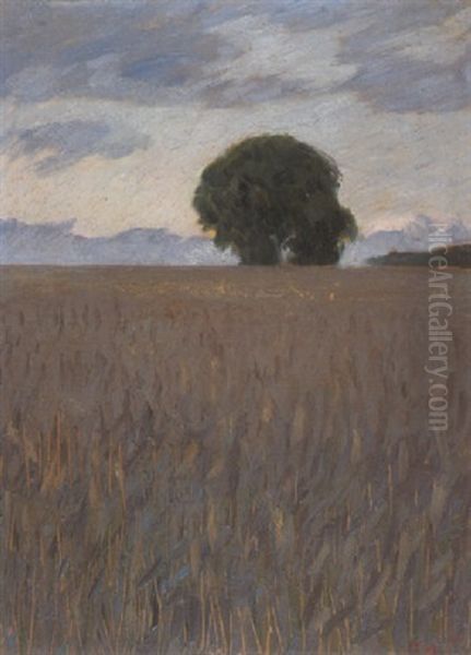 Baum In Den Feldern - view 1