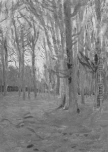 Birkenwald Im Abendlicht by Hans am Ende