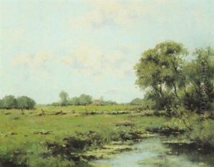 Moorlandschaft