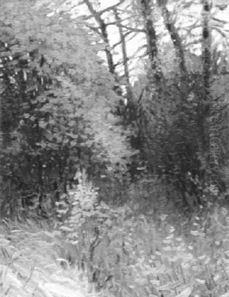 Erstes Grun - view 1
