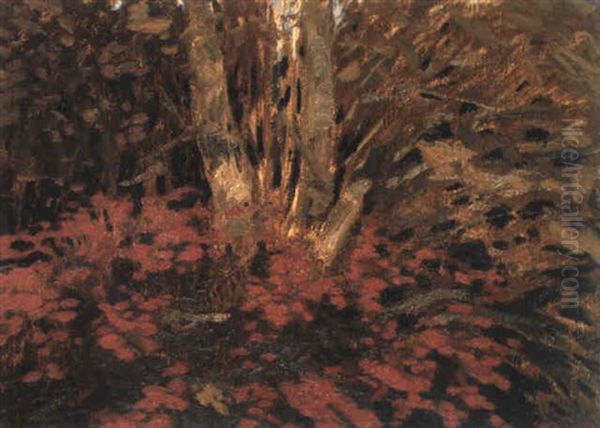 Birkenst,mme Zwischen Roten Blumen - view 1