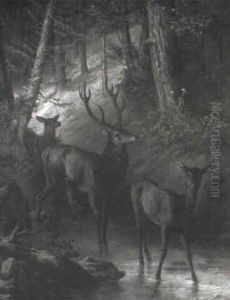 Deer In A Forest Glade At Water's Edge by Edouard Ender