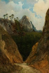 Blick In Eine Brasilianische Bergschlucht